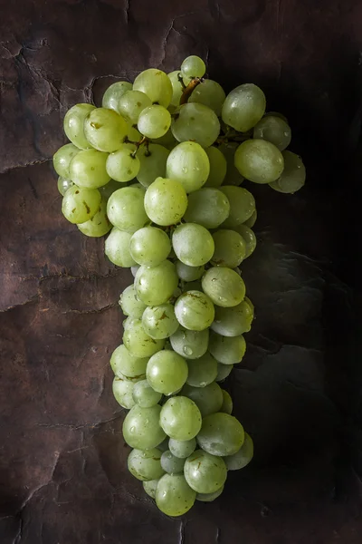 Мокрий винограду — стокове фото