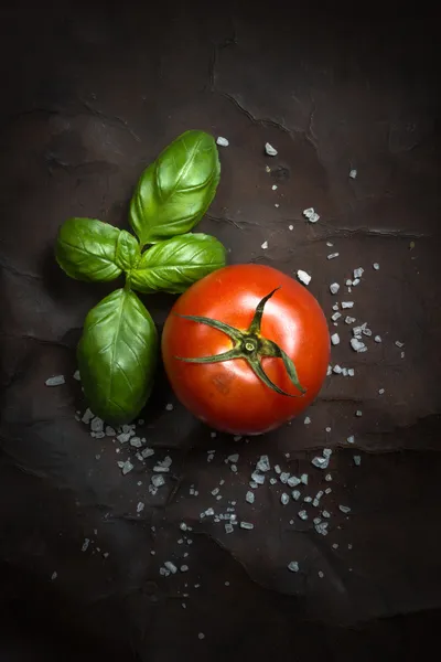 Tomates e manjericão — Fotografia de Stock