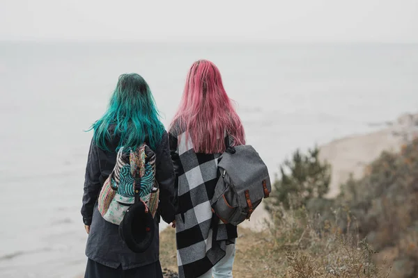 Две Женщины Розовыми Голубыми Волосами Стоят Спиной Камере Смотрят Океан Стоковая Картинка