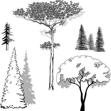 Vector illustration set of trees clipart