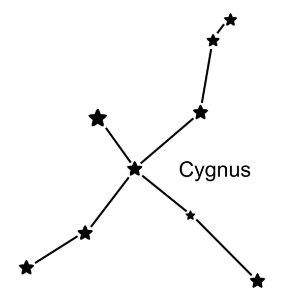 Konstellation Cygnus Vit Bakgrund Vektor Illustration — Stock vektor