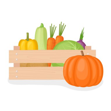 Tahta kutuda taze çiftlik sebzesi, vektör çizimi