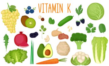 K vitamini kaynakları. Sağlıklı yiyecekler. Sebze, meyve, sebze ve fındık koleksiyonu zenginleştirilmiş C vitamini illüstrasyonu.