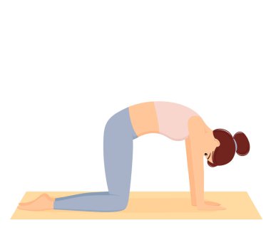 İnek pozu veren bir kadın. Kız sırt kaslarını esnetiyor, pilates yapıyor ve yoga egzersizleri yapıyor. Sağlıklı bir yaşam tarzı. Egzersiz, vektör illüstrasyonu