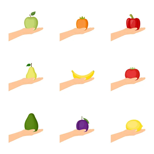 Ensemble Mains Tenant Des Fruits Légumes Concept Alimentation Saine Illustration — Image vectorielle