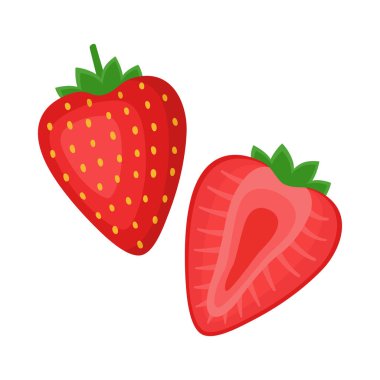 Strawberry, whole berry and half, vector illustration
