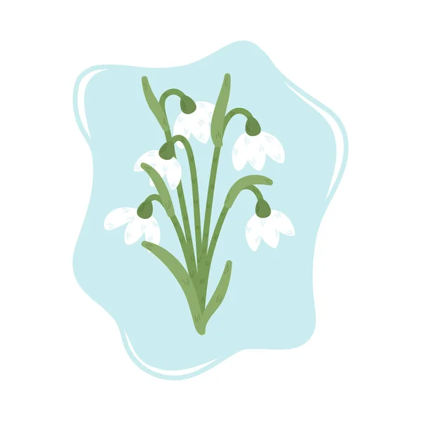 Blooming Snowdrops Beautiful Spring Flowers Vector Illustratio — Vector de stock