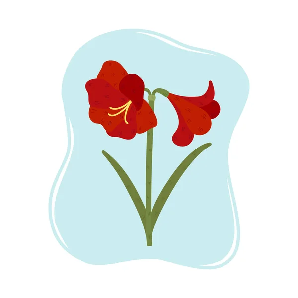 Beautiful Blooming Amaryllis Exotic Red Flower Vector Illustratio — Vector de stock