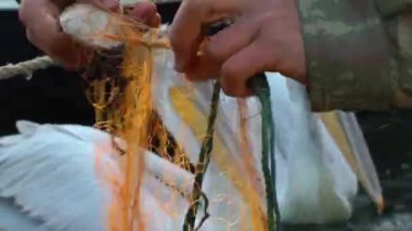 balıkçı file çorap onarır.