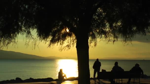 People Silhouette near the Seaside — Stock Video