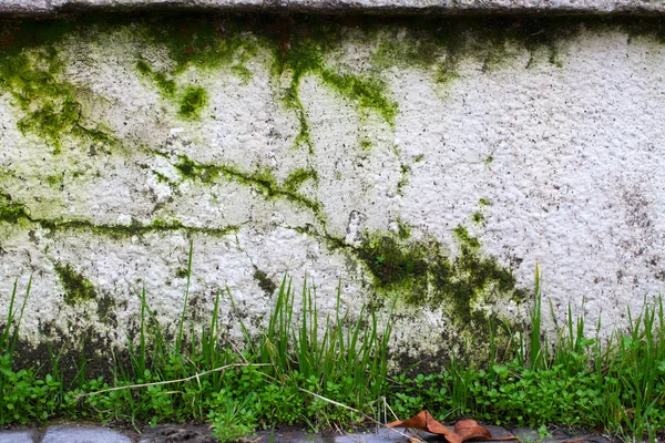 汚れた壁のテクスチャ — ストック写真