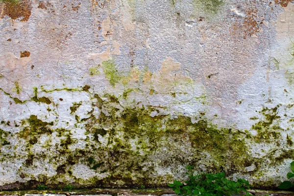 Smutsiga vägg konsistens — Stockfoto