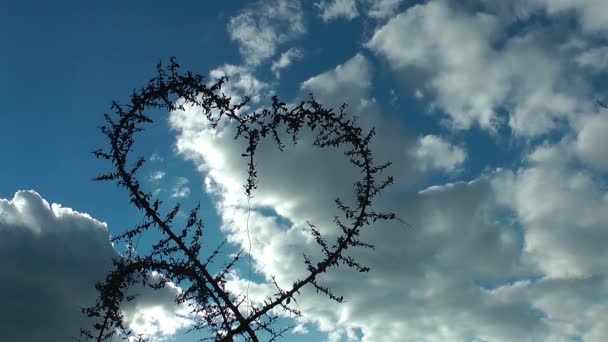 Forme de coeur de la plante et des nuages — Video