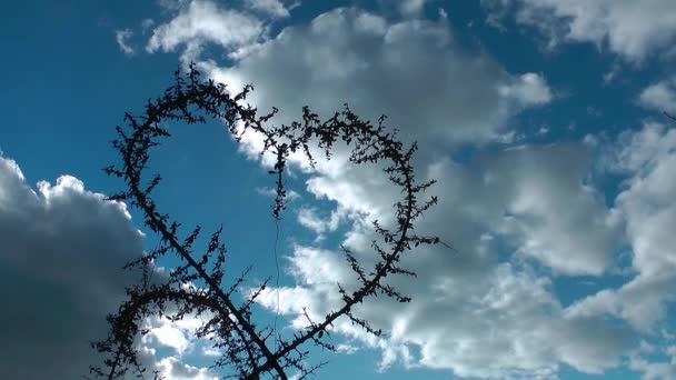 Tvar srdce rostlin a mraky — Stock video