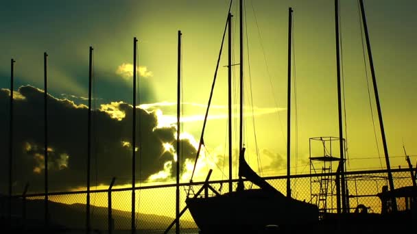 Dock ve yelkenli tekneler — Stok video