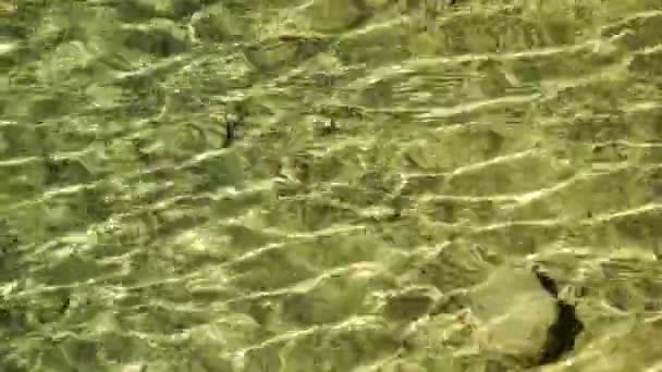 Зеленая светлая вода — стоковое видео
