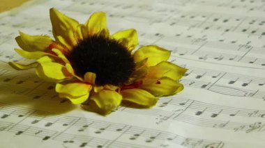 müzik notlar ayçiçeği ve kan