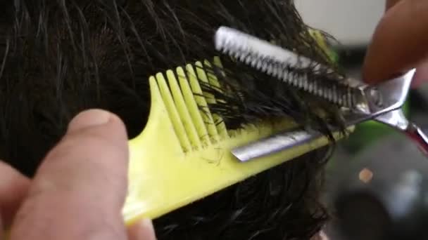 Corte de cabelo — Vídeo de Stock