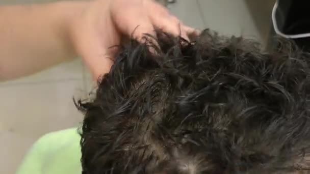 Masaje para el cabello — Vídeo de stock