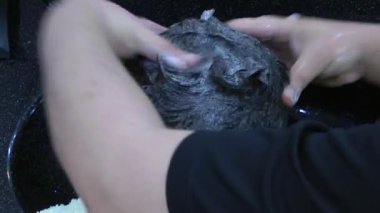 Kuaför saç yıkama