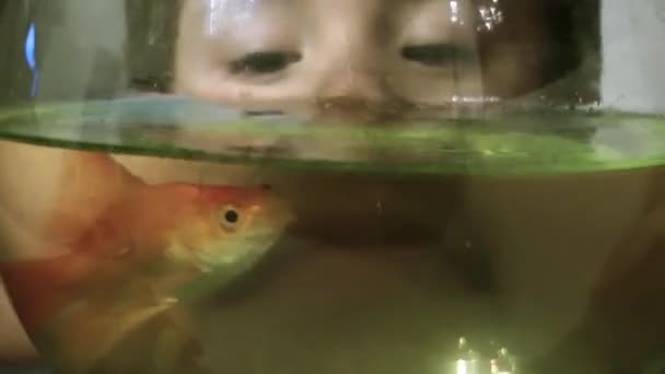 Ragazzo e un pesce in acquario — Video Stock