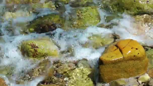 Камни в воде — стоковое видео