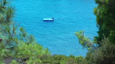 ağaç ve deniz