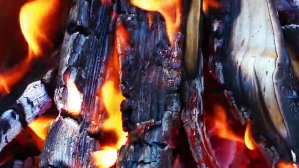 Fa és szén tűz