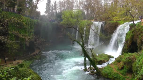 公园里的瀑布 — 图库视频影像