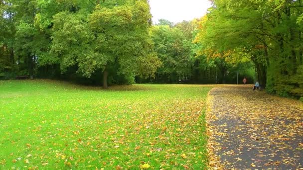 Les feuilles tombent dans le parc 