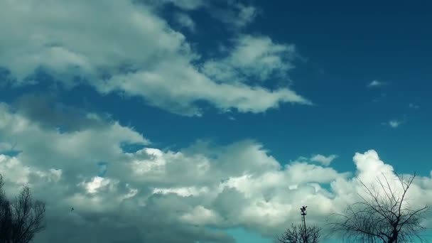 Темні та яскраві хмари Час Лапсе — стокове відео