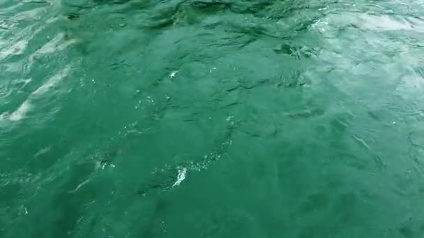 Море — стокове відео