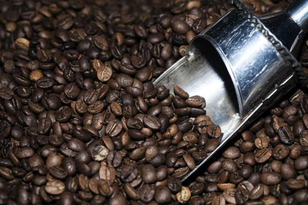 Coffee Beans — Stock Photo, Image