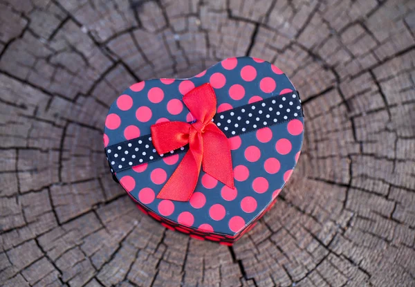 Caja de regalo en forma de corazón en el árbol —  Fotos de Stock