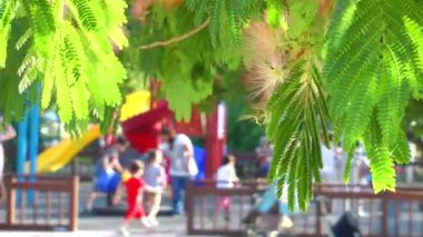 ağaç ve bulanık Bahçesi
