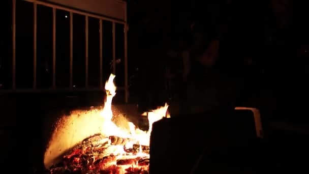 Sauter par-dessus le feu la nuit — Video