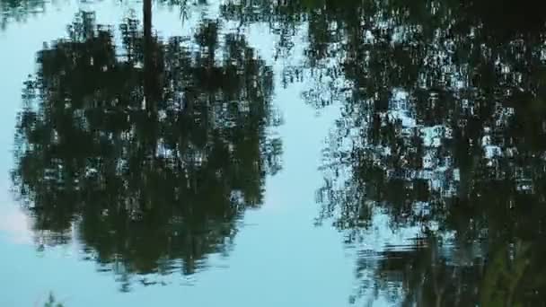 De rivier en boom reflectie op het water — Stockvideo