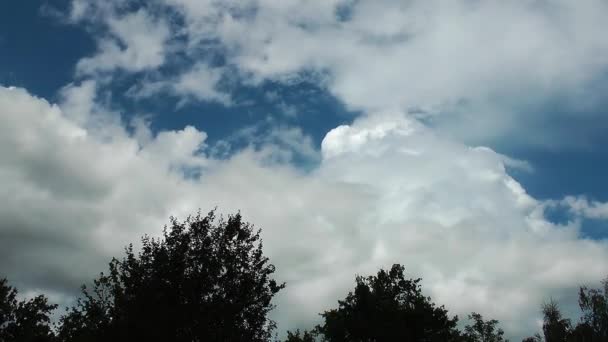 Nuvens e árvores lapso de tempo — Vídeo de Stock