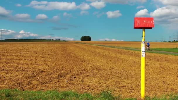 Radfahren auf dem Feld — Stockvideo