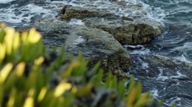 Kayalar ve Vahşi Deniz Dalgaları 