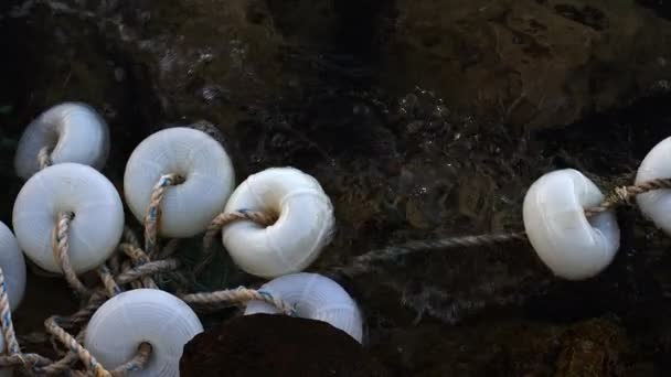 Visserijnetten Het Zeewater — Stockvideo