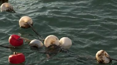  Deniz suyunda balıkçı ağları