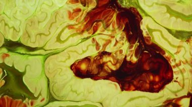 Soyut Su Boyası Difüzyon Patlama Sanatı. Organik suluboya boya, süt ve sabundan yapılmış. Süt ve sabun arasında kimyasal bir reaksiyon. Renkli gerçeküstü şekiller ortaya çıkıyor. Grunge Sanat Mürekkebi Gıda Boyası Patlama Arkaplanı Patlaması. 