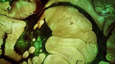 Soyut Su Boyası Difüzyon Patlama Sanatı. Organik suluboya boya, süt ve sabundan yapılmış. Süt ve sabun arasında kimyasal bir reaksiyon. Renkli gerçeküstü şekiller ortaya çıkıyor. Grunge Sanat Mürekkebi Gıda Boyası Patlama Arkaplanı Patlaması. 