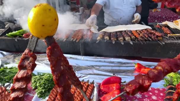 肉食Shish Kebab在烧烤火上 — 图库视频影像
