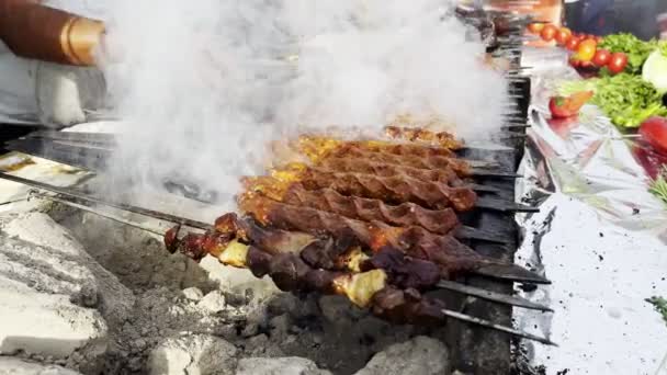 Fleischessen Shish Kebab Auf Einem Grill Feuer — Stockvideo