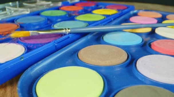 Education School Equipment Paint Brush Set — Stock Video