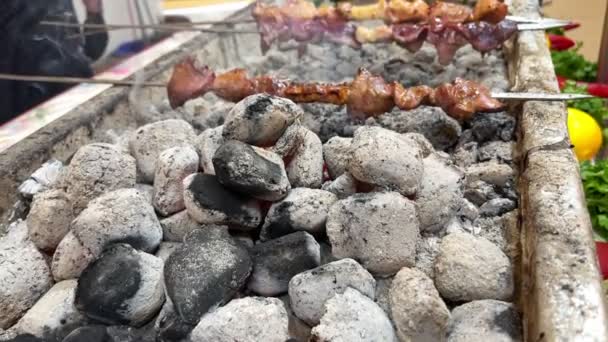 Turkish Traditional Shish Kebab Meat Barbecue Coal Fire — Stock Video