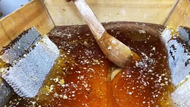 Delicious Sweet Sugarly Natural Organic Honey — Stock Video