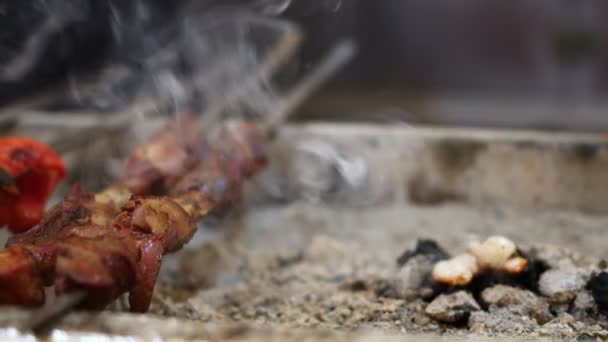 土耳其传统的Shish Kebab肉食在烤火上的应用 — 图库视频影像
